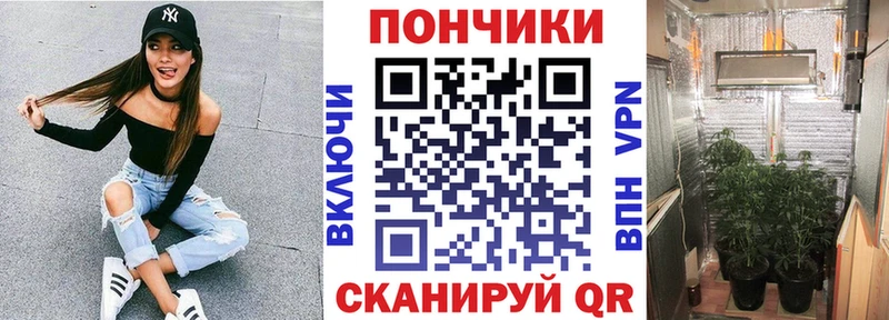 Купить где  Севск  Канабис планчик 